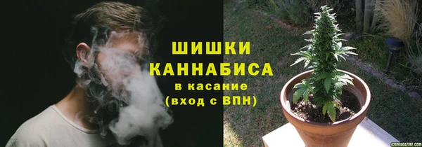 бошки Горняк