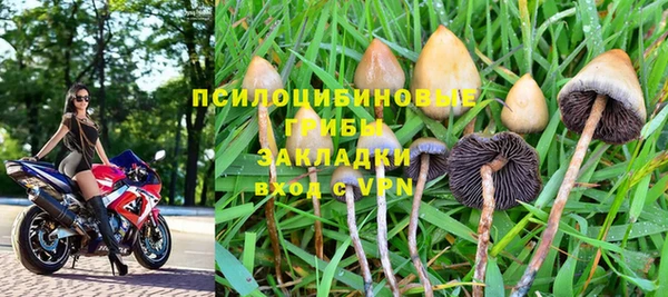 mix Горнозаводск