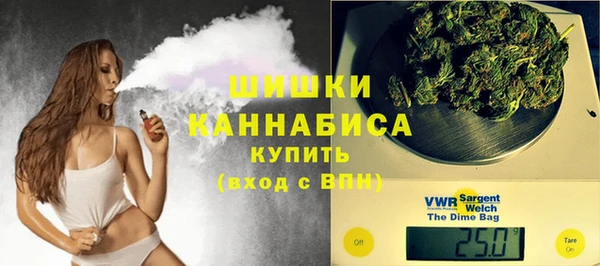 стафф Гусиноозёрск