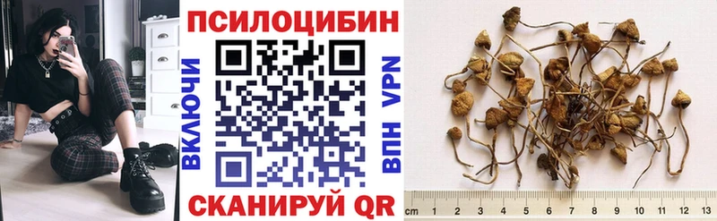Псилоцибиновые грибы Magic Shrooms  Ярцево 